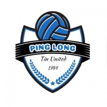 tin ping logo