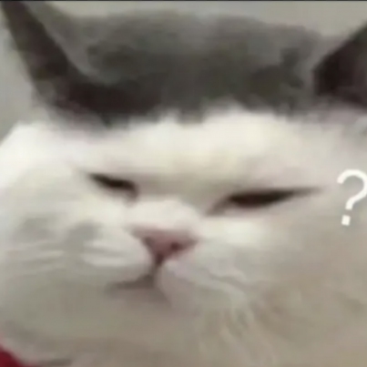 Screenshot_20250213-005118~2