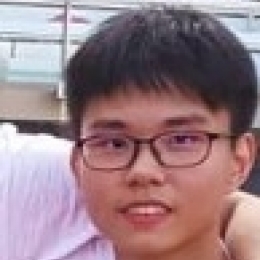 hinhin