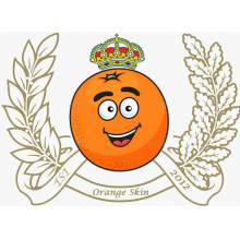 Orange Skin_Logo