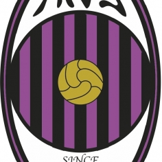 ans logo